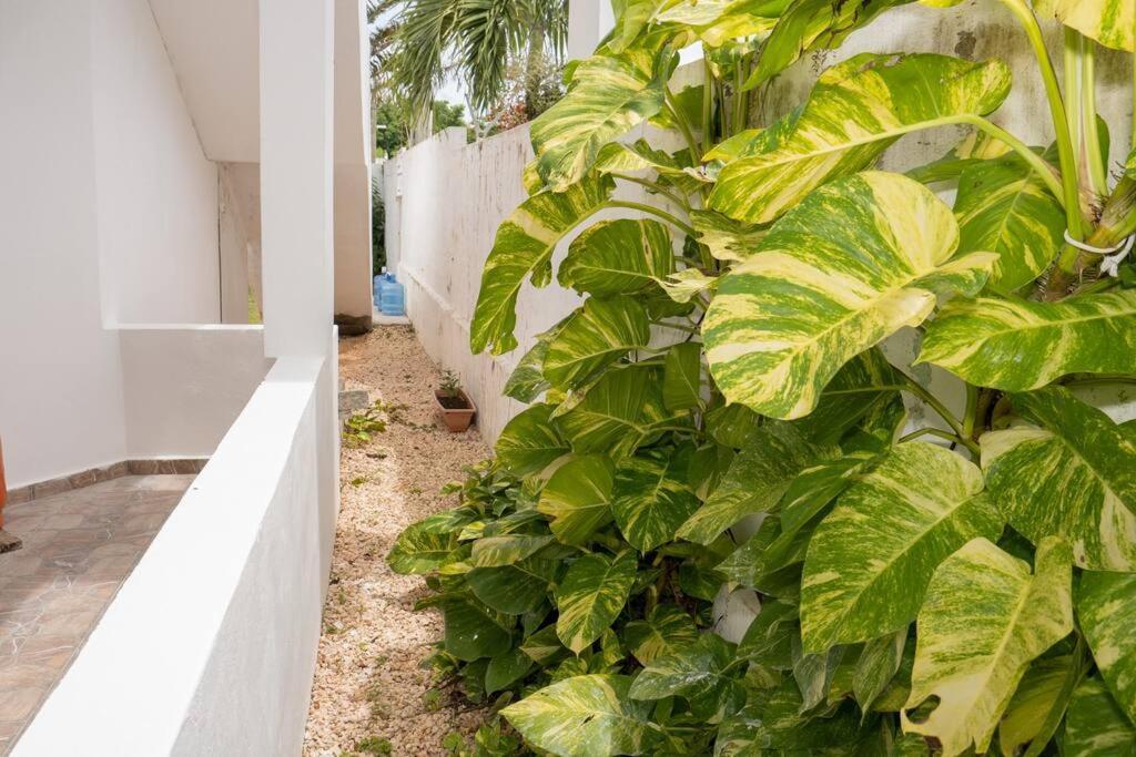 Villa Caribe Bayahibe Exterior photo